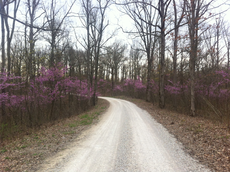 Lockegee Rock and Cave Run Lake